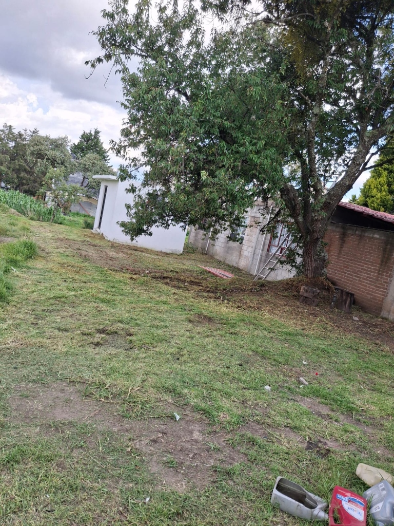 Trabajo de jardinería Compañia Peter 2