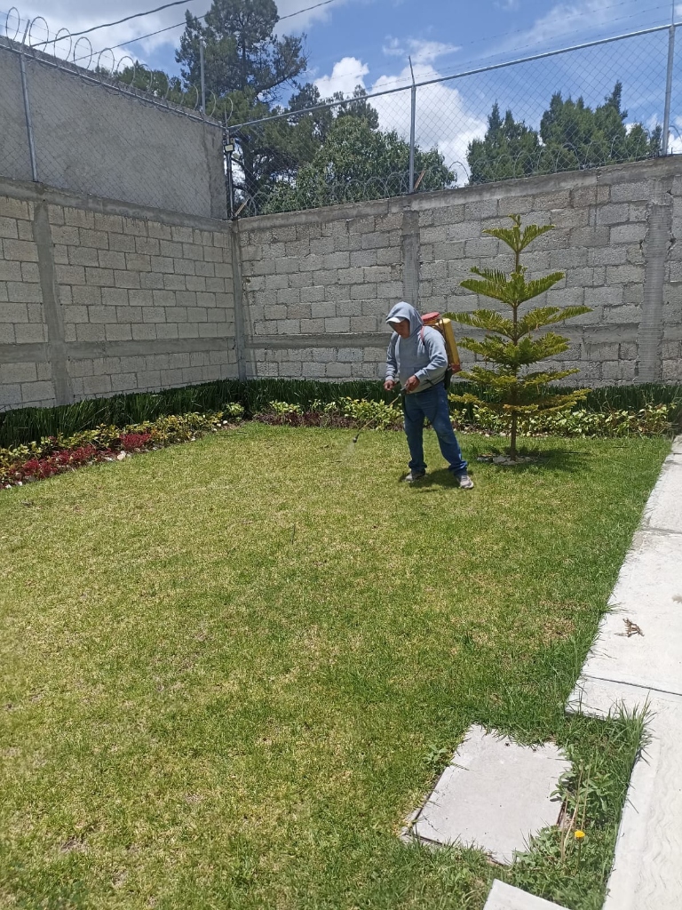 Trabajo de jardinería Compañia Peter 17