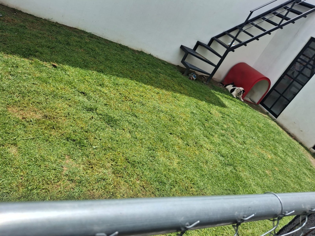 Trabajo de jardinería Compañia Peter 7