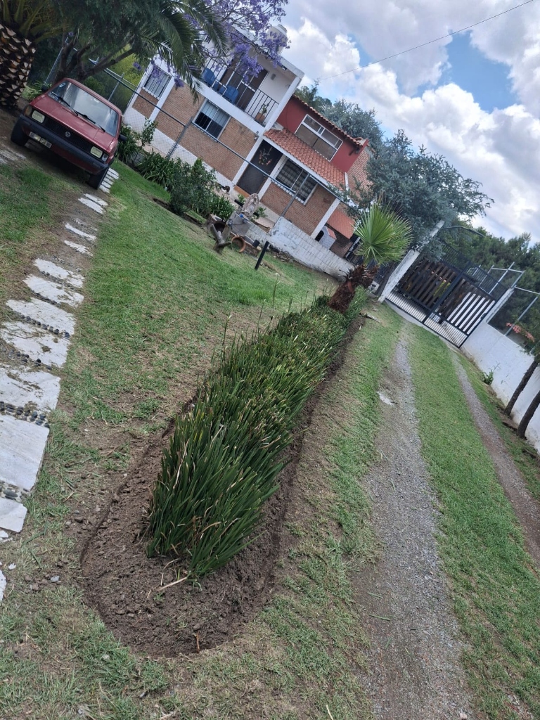 Trabajo de jardinería Compañia Peter 11