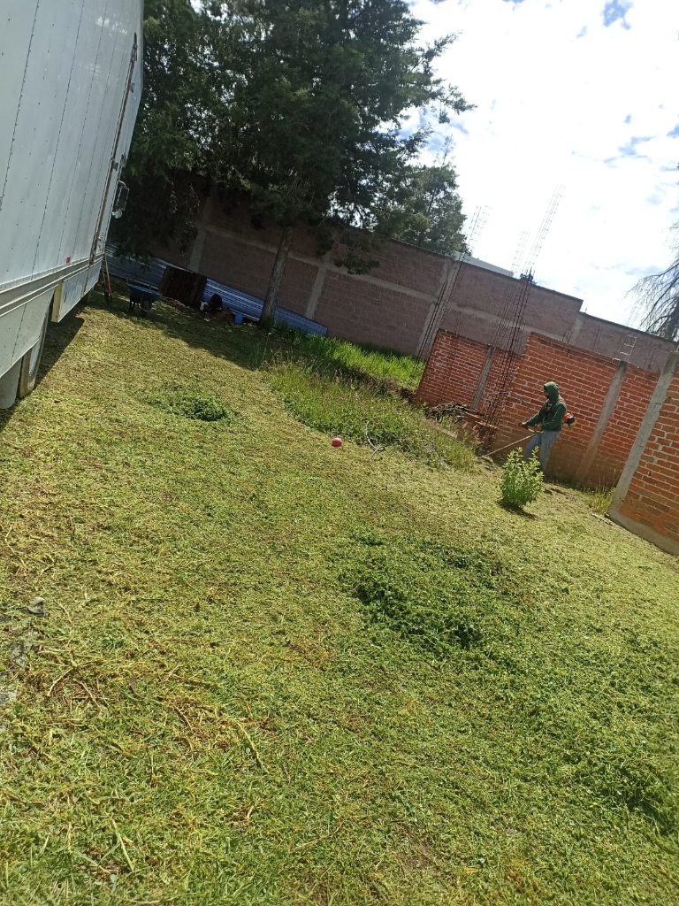 Trabajo de jardinería Compañia Peter 13